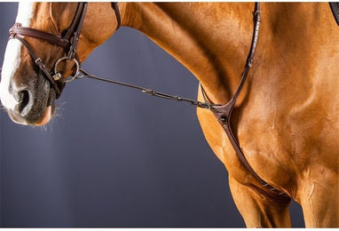 Dyon New English Collection Martingalgabel aus Leder für Ponys in Braun – Bild 1 von 1