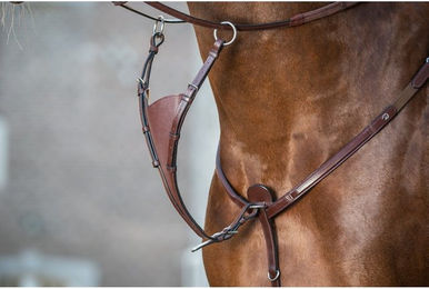 Produktbild von Dyon New English Collection Martingalgabel geschlossen soft aus Leder für Ponys