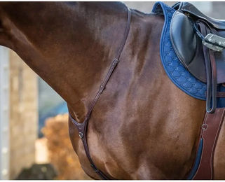 Dyon New English Collection Martingalriemen aus Leder in Braun für Vollblut Pferde – Bild 1 von 2