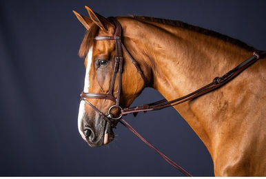 Produktbild von Dyon New English Collection Schlaufzügel aus Leder und Nylon für Ponys in Schwarz oder Braun