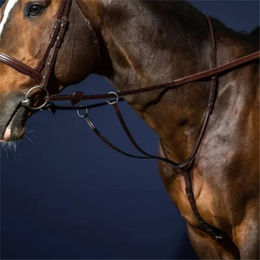 Dyon Ringmartingal New English Collection aus Leder in Braun für Warmblut Pferde – Bild 1 von 2