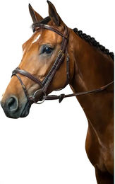 Dyon Trense mit kombiniertem Reithalfter aus Leder Fancy Stitching für Ponys – Bild 1 von 2