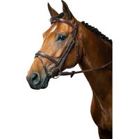 Produktbild von Dyon Trense mit kombiniertem Reithalfter aus Leder Fancy Stitching für Ponys