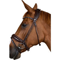 Produktbild von Dyon Trensenzaum aus weichem Leder mit breitem Reithalfter für Warmblut in Grau oder Braun