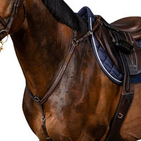 Produktbild von Dyon Vorderzeug mit Brücke US Collection aus Leder in Schwarz für Warmblut Extra