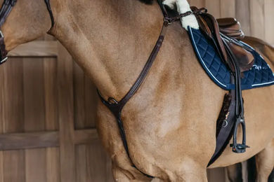 Dyon Vorderzeug mit geflochtener Brücke braun Größe Pony – Bild 1 von 1