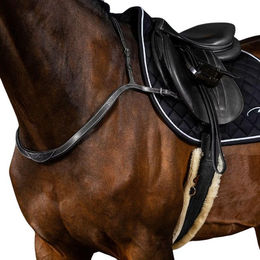 Produktbild von Dyon Vorderzeug US Collection aus Leder für Warmblut Pferde in Schwarz
