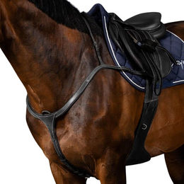 Produktbild von Dyon Vorderzeug US Collection mit langer Brücke aus Leder für Ponys