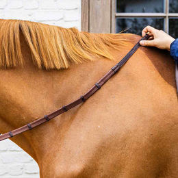 Dyon Working Collection Gummizügel mit Lederschlaufen und Karabiner für Ponys – Bild 1 von 3