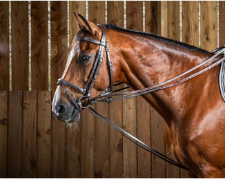 Produktbild von Dyon Working Collection Jagdschlaufzügel aus Leder für Ponys in Braun