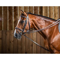 Produktbild von Dyon Working Collection Jagdschlaufzügel aus Leder für Ponys in Braun