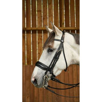 Produktbild von Dyon Working Collection Kandare aus Leder für Ponys