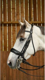 Dyon Working Collection Kandare für Ponys aus Leder in Schwarz – Bild 1 von 2
