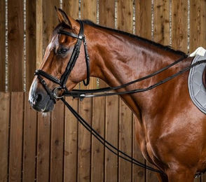 Produktbild von Dyon Working Collection Schlaufzügel aus Leder und Nylon für Vollblut Pferde in Braun oder Schwarz