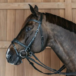 Dyon Working Motion Trense WBD für Ponys aus Leder in Schwarz – Bild 1 von 1