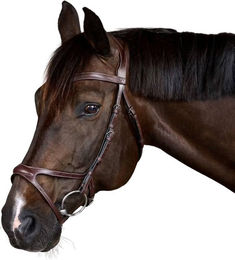 Dyon Xfit Trense US Collection Pony Leder Braun – Bild 1 von 6
