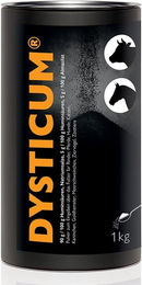 Dysticum Pulver für die Magen-Darm-Verdauung 100g – Bild 1 von 1