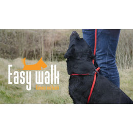 Easy Walk Leine Handmodell Rot - 210 cm – Bild 1 von 4