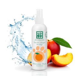 Produktbild von Eau de Cologne Men for San Chien Pêche - 125 ml