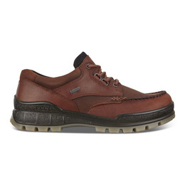 Produktbild von Ecco Herren Wanderschuh Track 25 Low GTX Braun