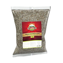 Ecostar Trockenrasen – Bild 1 von 4