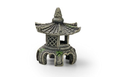 Produktbild von EDEN Asien Tempel W