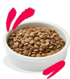 Edgard & Cooper Senioren-Katze - Huhn, Truthahn aus Freilandhaltung - 2 kg – Bild 1 von 5