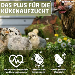 Produktbild von Eggersmann Körnerpick Profi Aufzucht Plus - 180 g
