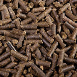 Produktbild von Eggersmann Profi Bronchial Pellets - 1 kg