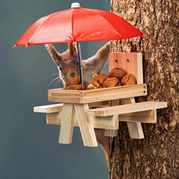 Produktbild von Eichhörnchen Futterstation Picknick mit Schirm