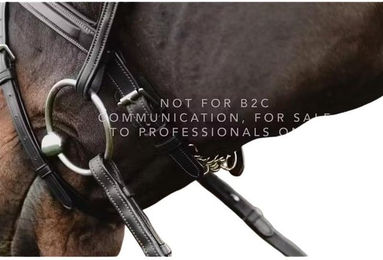 Produktbild von Einfaches Kettengeschirr für Pferde Dy'on 5/8"