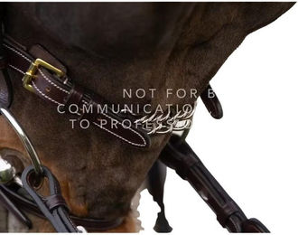 Produktbild von Einfaches Kettengeschirr für Pferde Dy'on 5/8"