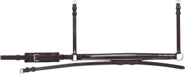 Produktbild von Eingelegtes Reithalfter und abnehmbarer Mundschutz Equiline