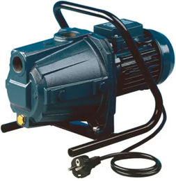 Produktbild von Einphasige selbstansaugende Pumpe aus Gusseisen Ebara Aga Garden