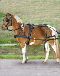 Produktbild von Einspänner Synthetikgeschirr für Pony und Shetty