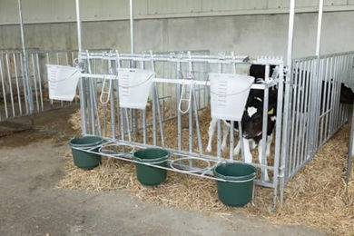 Produktbild von Einzelset Gruppe 3 Kälber verzinkt, komplett Kerbl