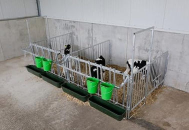 Einzelset Gruppe 5 Kälber verzinkt, komplett Kerbl – Bild 1 von 2