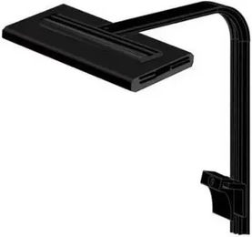 Produktbild von Einzigartiger verstellbarer BH Aquavie GrassyCore Sealight