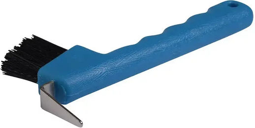 Eisenfuß für Pferd aus Edelstahl Roma Brights – Bild 1 von 5