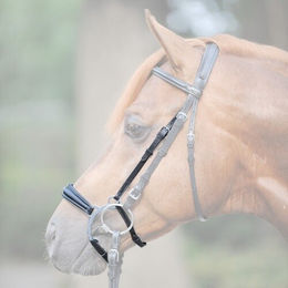 Eisernes Reithalfter Kavalkade – Bild 1 von 2