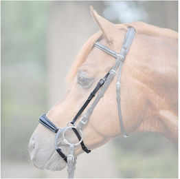 Produktbild von Eisernes Reithalfter Kavalkade