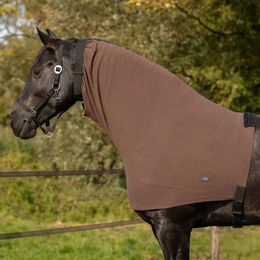 Produktbild von Ekzemedecke für Pferde QHP