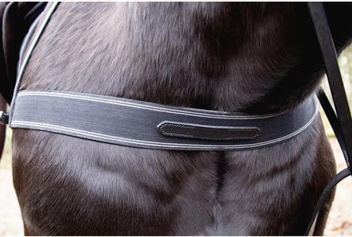 Produktbild von Elastiche Kopfstange für Pferdegeschirr T de T