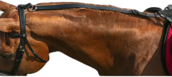 Produktbild von Elastische Ausbinder Norton Pro