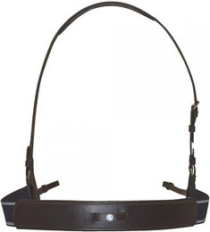 Produktbild von Elastische Bricole Canter