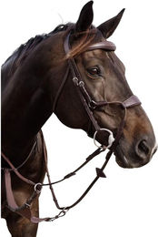 Produktbild von elastische Nasenriemen für Pferde Dy'on Hybride