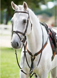 Produktbild von Elastisches Vorderzeug für Pferde aus Y mit Martingal Tattini