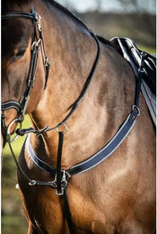 Produktbild von Elastisches Vorderzeug für Pferde HFI