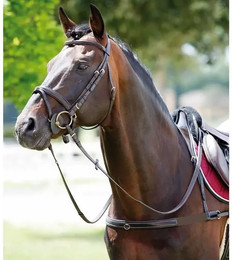 Produktbild von Elastisches Vorderzeug für Pferde mit abnehmbarem Kragen Tattini