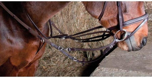 Produktbild von Elastisches Zaumzeug für Howlett-Pferde T de T